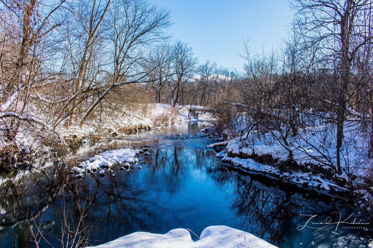 Earl Bales Park And Don Valley Golf Course – Public Walk – Zunaid Khan